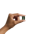 SEED DS-01 Daily Synbiotic