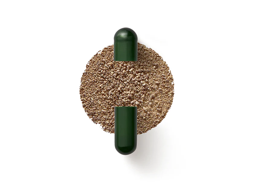 SEED DS-01 Daily Synbiotic